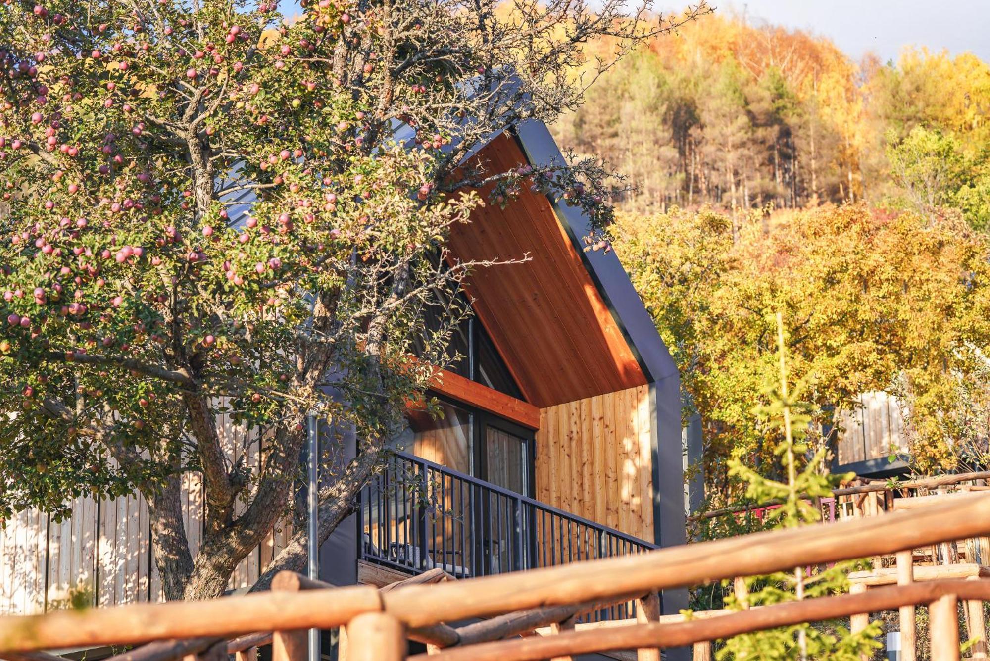 אלמטי Qazaq Auyl Eco Hotel מראה חיצוני תמונה